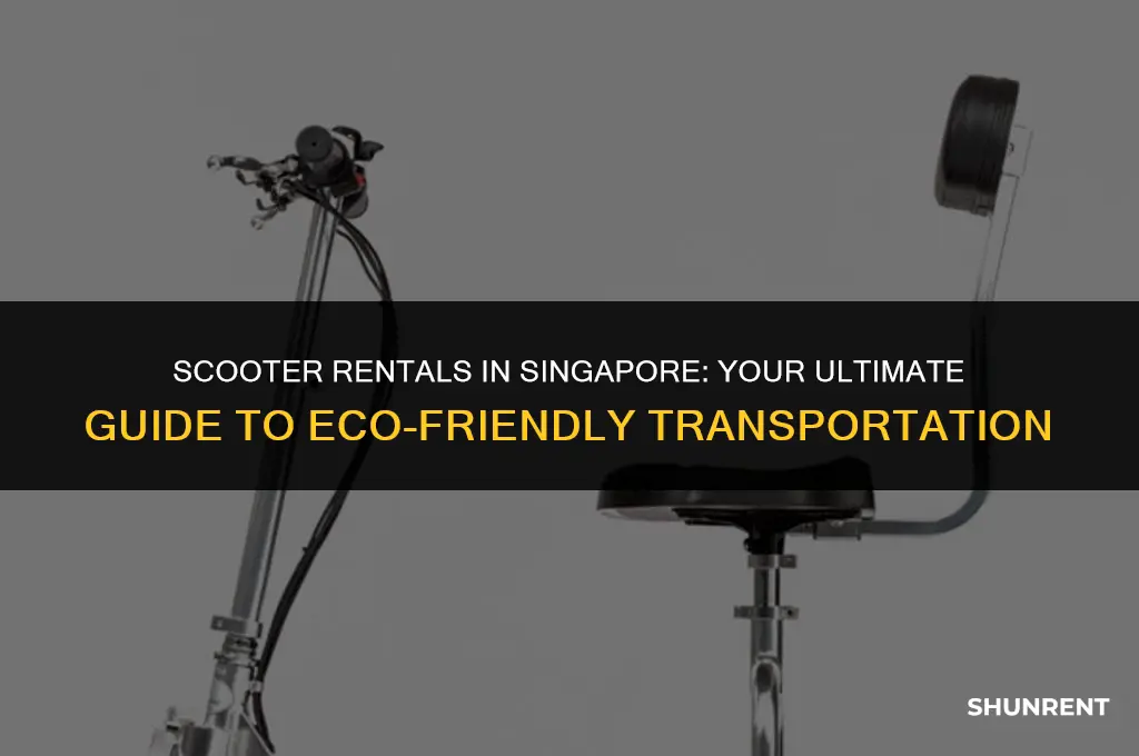 where to rent e scooter in singapore