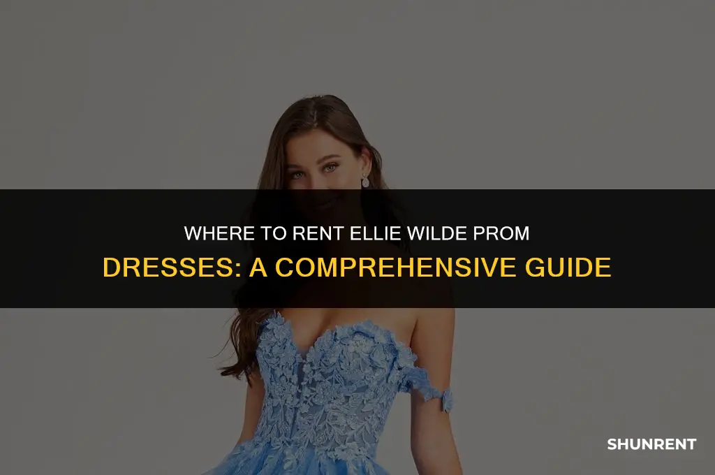 where to rent ellie wilde prom dresses