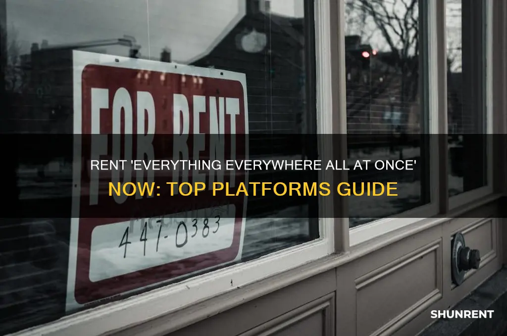 where to rent everything everywhere all at once