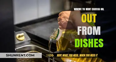Eco-Friendly Disposal: Renting Excess Cooking Oil from Dishes Made Easy