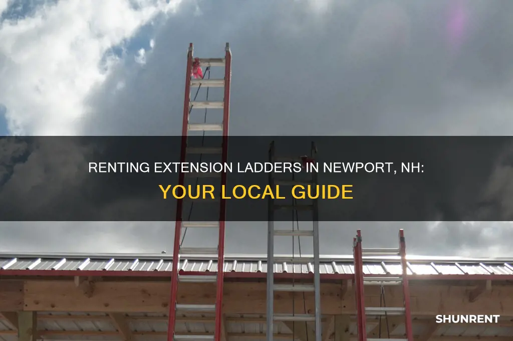 where to rent extension ladder in newport nh
