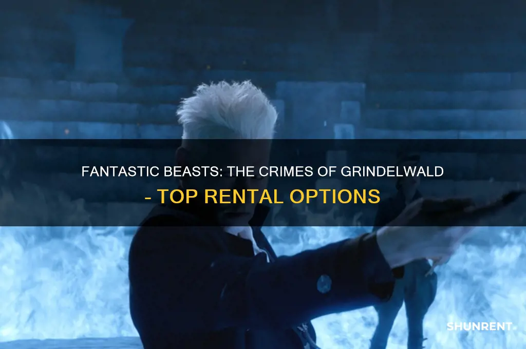 where to rent fantastic beasts the crimes of grindelwad