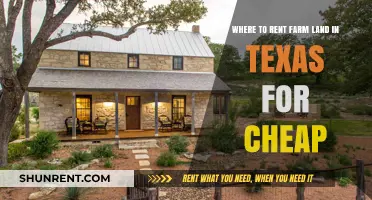 Affordable Farmland Rentals in Texas: Top Locations for Budget-Friendly Leases