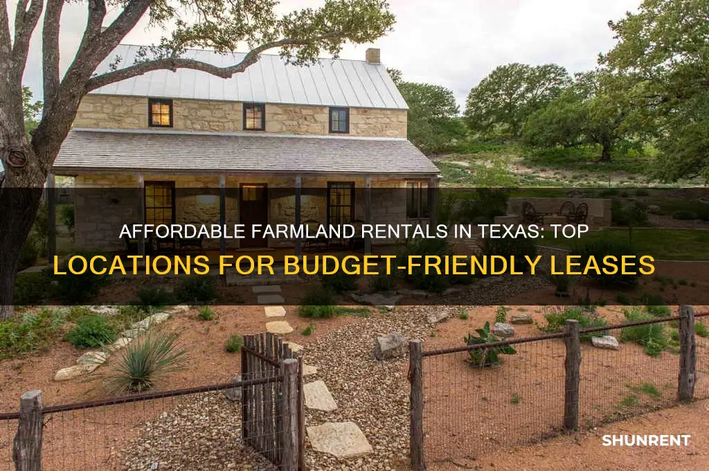 where to rent farm land in texas for cheap