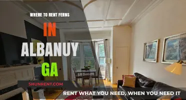 Discover the Best Spots to Rent Ferns in Albany, GA