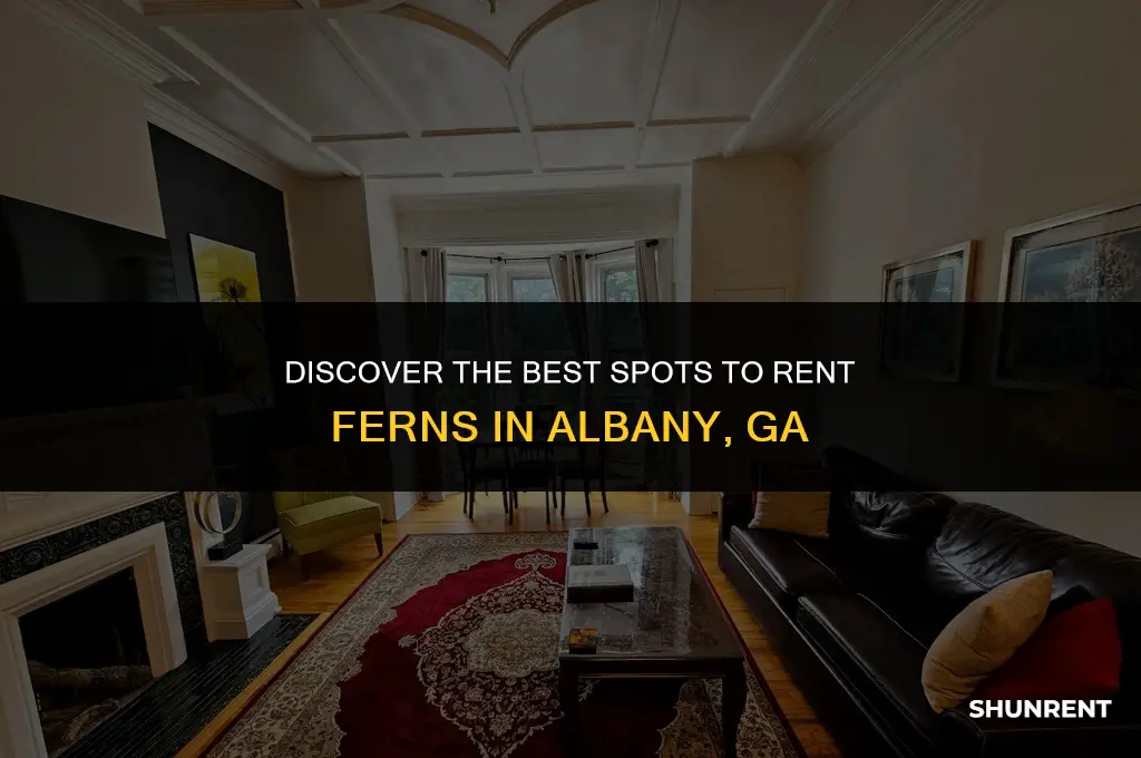 where to rent ferns in albanuy ga