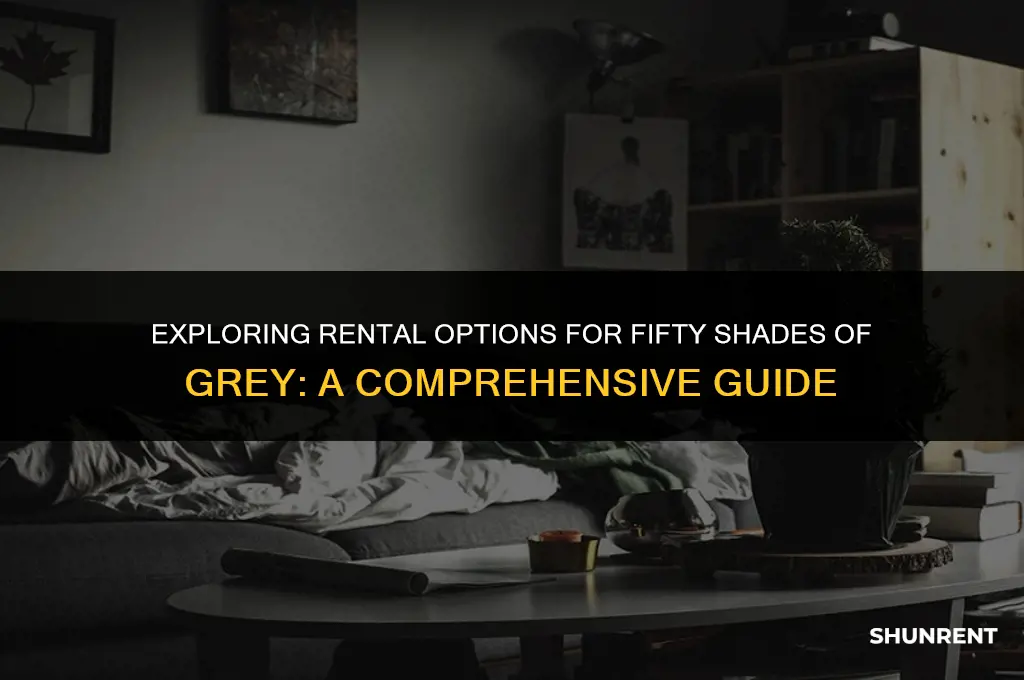where to rent fifty shades of grey