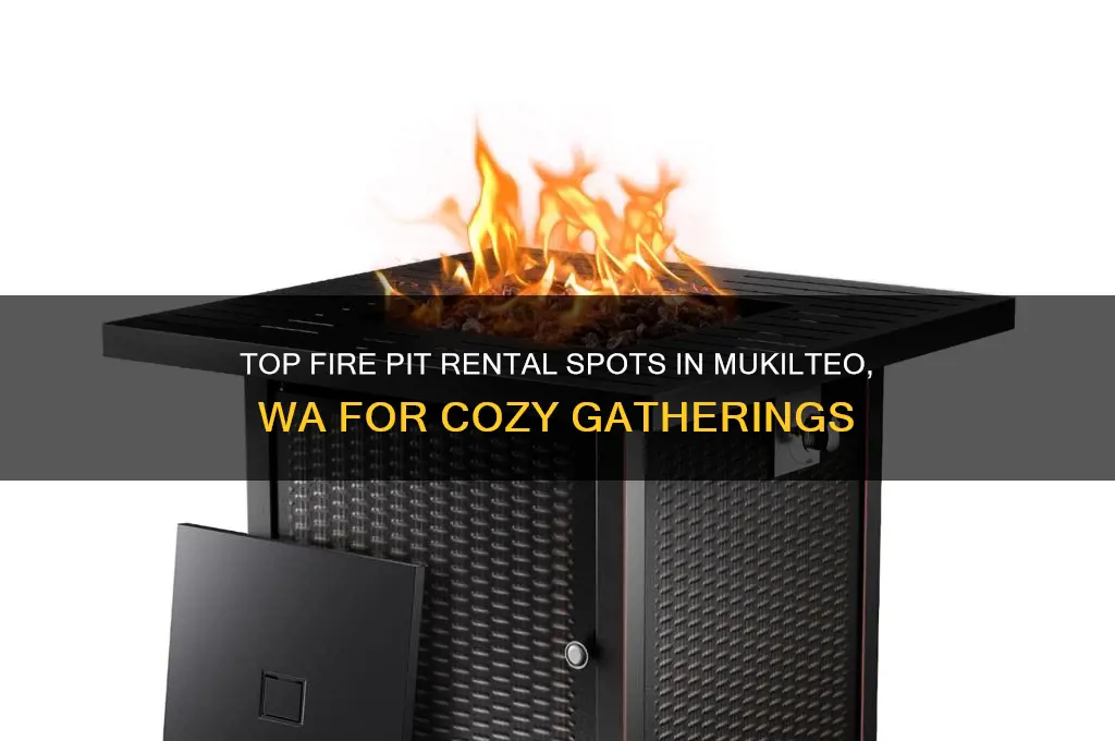 where to rent fire pits in mukilteo wa