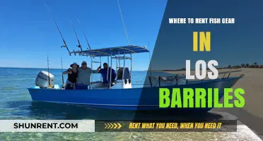 Top Spots to Rent Fishing Gear in Los Barriles, Mexico
