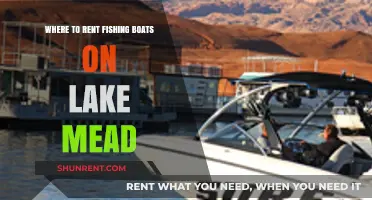 Top Spots to Rent Fishing Boats on Lake Mead