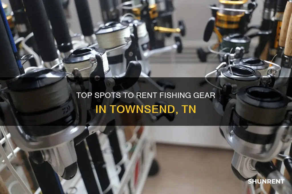 where to rent fishing gear for townsend tn