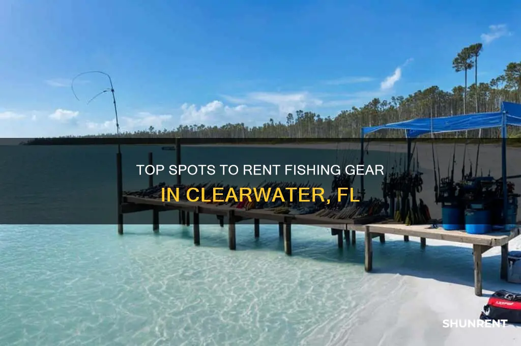 where to rent fishing gear in clearwater fl
