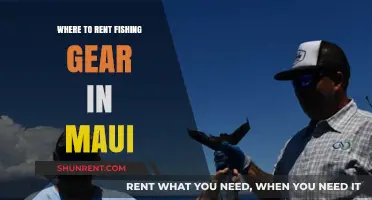 Cast Your Line in Maui: Top Spots for Fishing Gear Rentals