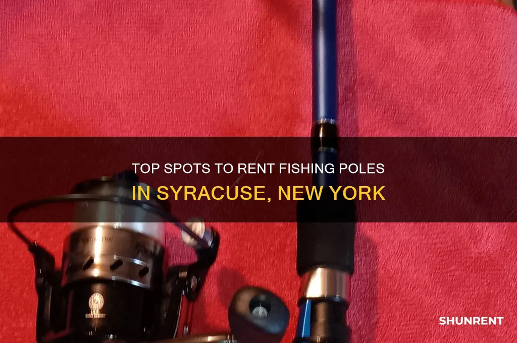 where to rent fishing poles syracuse new york