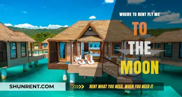Fly Me to the Moon: Top Rental Destinations for Celestial Adventures
