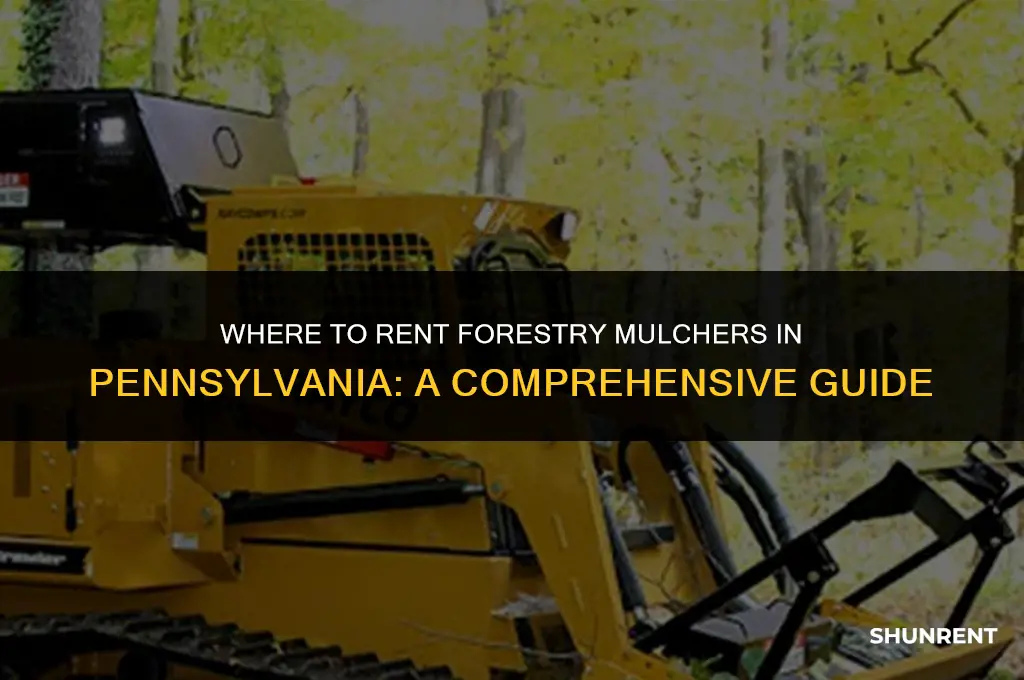 where to rent forestry mulcher in pa