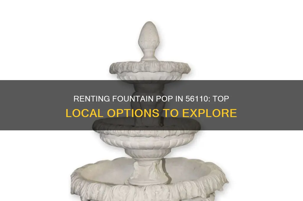 where to rent fountin pop in in 56110