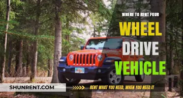 Explore Off-Road: Your Guide to Renting the Perfect 4x4 Vehicle