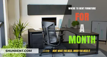 Furniture on Demand: Your Guide to Monthly Rentals