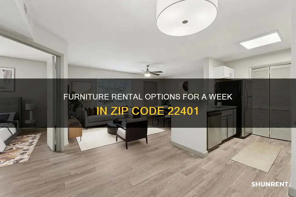 where to rent furniture for a week 22401