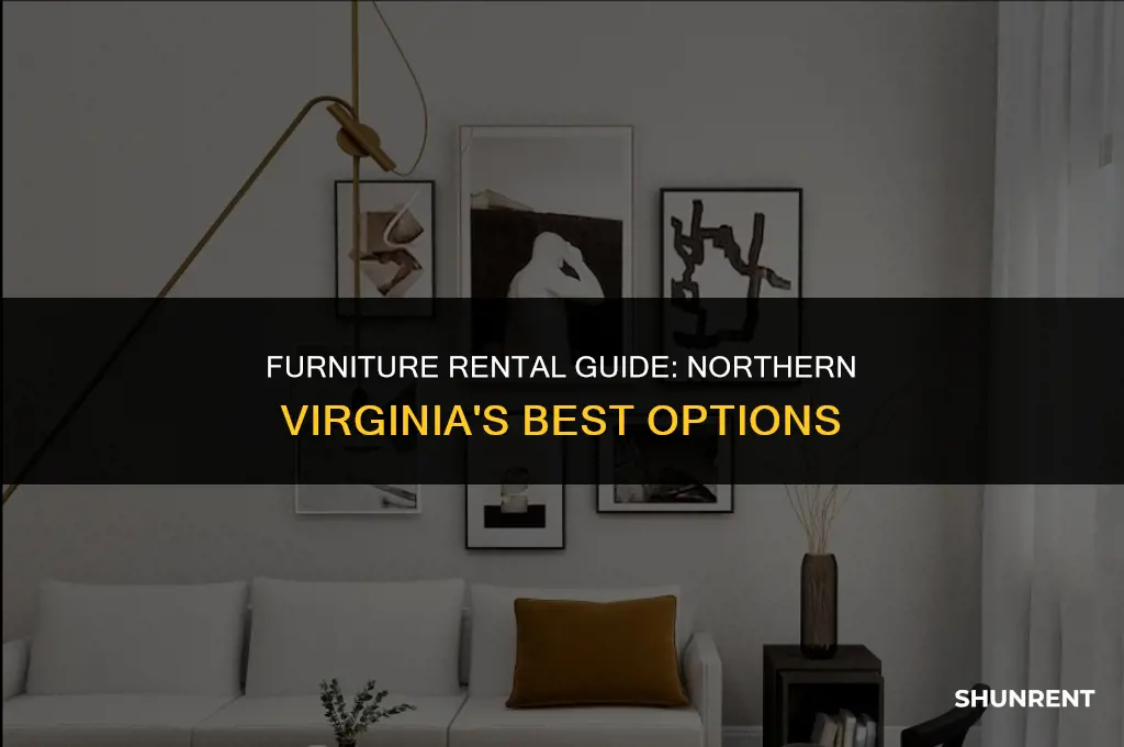 where to rent furniture in northern virginia