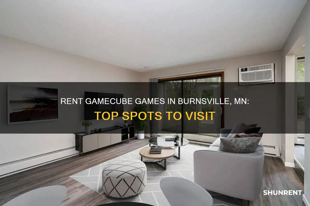 where to rent gamecube games in burnsville mn