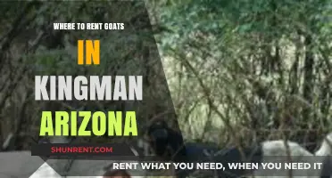 Discover the Best Goat Rentals in Kingman, Arizona: A Comprehensive Guide