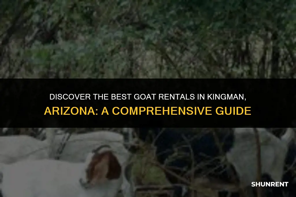 where to rent goats in kingman arizona