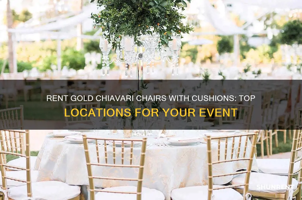 where to rent gold chiavari chairs with cushions