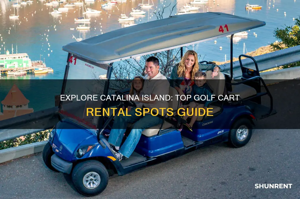 where to rent golf cart in catalina island