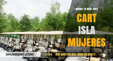 Exploring Isla Mujeres: Your Guide to Golf Cart Rentals