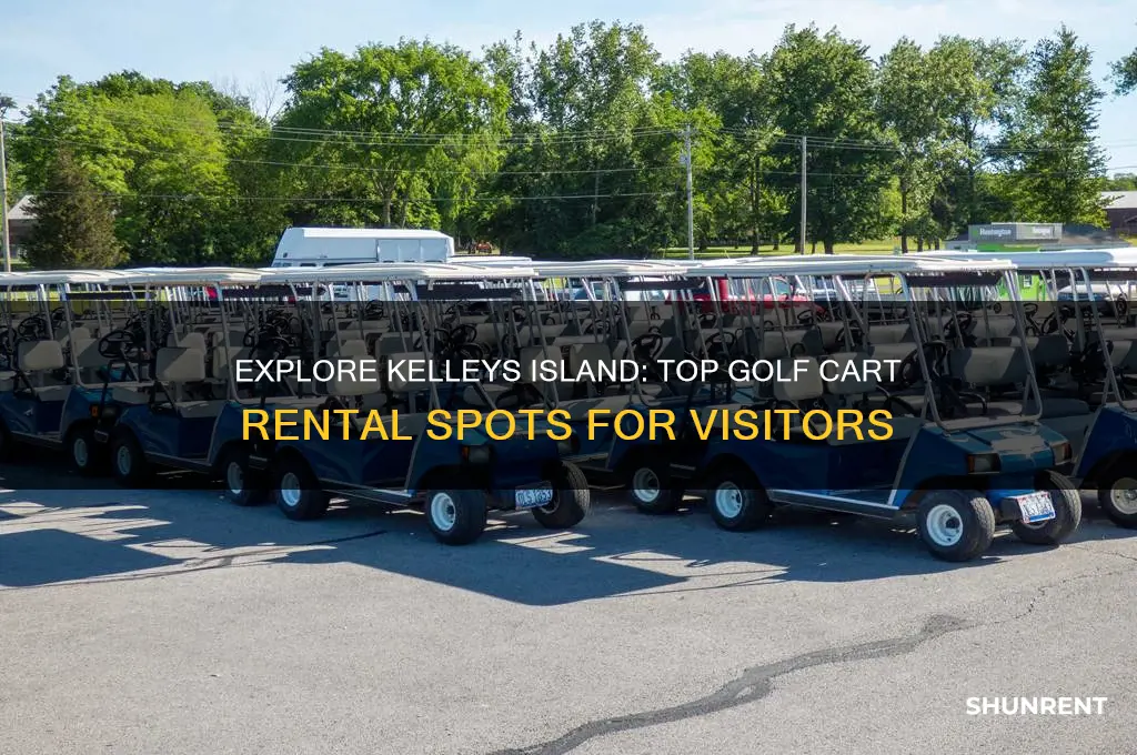 where to rent golf carts on kelleys island