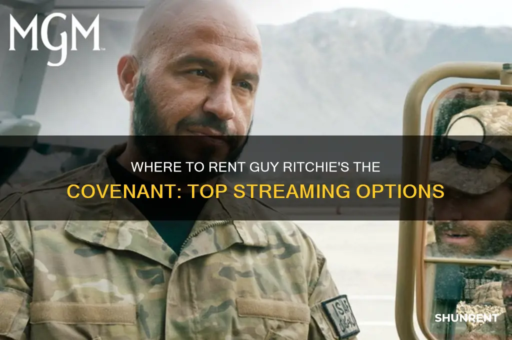 where to rent guy ritchie