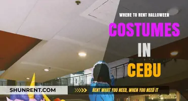 Where to Rent Halloween Costumes in Cebu: A Comprehensive Guide