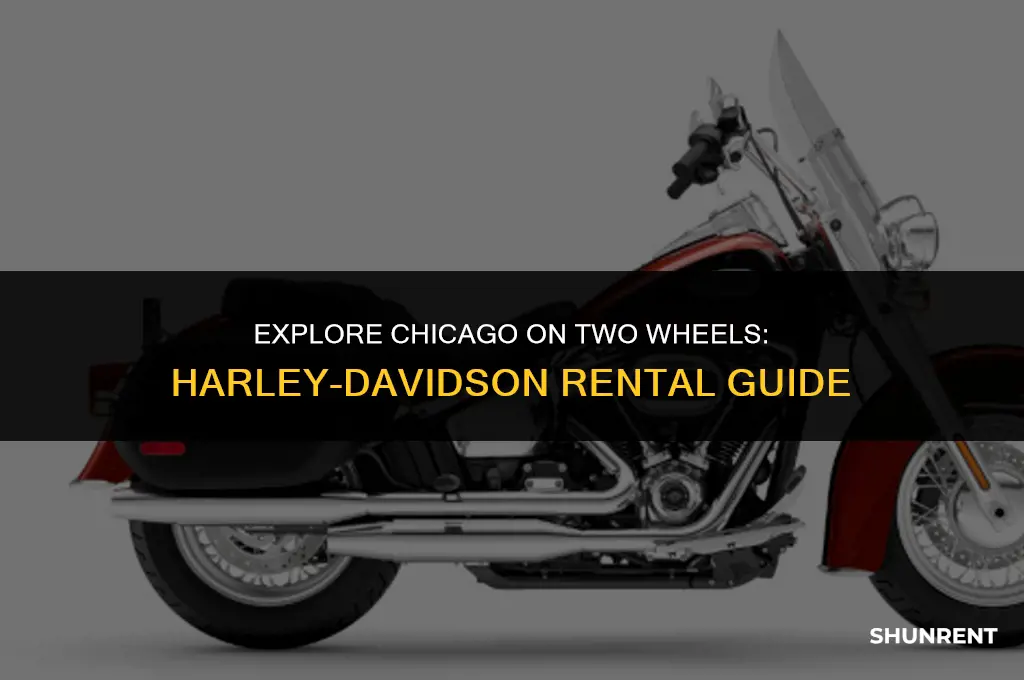 where to rent harley davidson in chicago