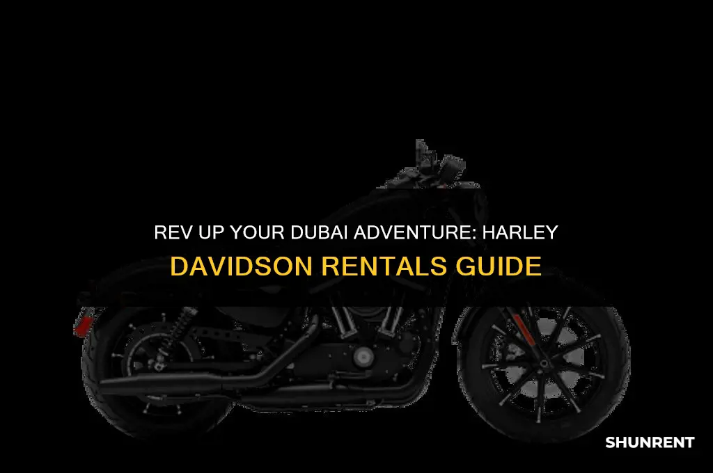 where to rent harley davidson in dubai