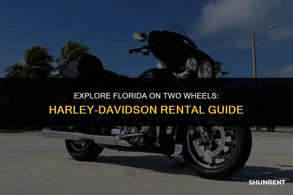 where to rent harley davidson in florida