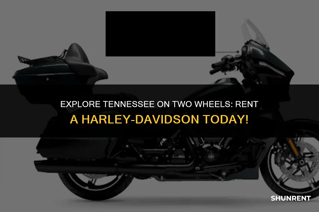 where to rent harley davidson in tennessee