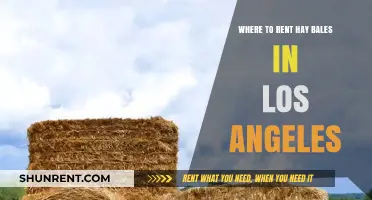 Rent Hay Bales in Los Angeles: Top Locations and Tips