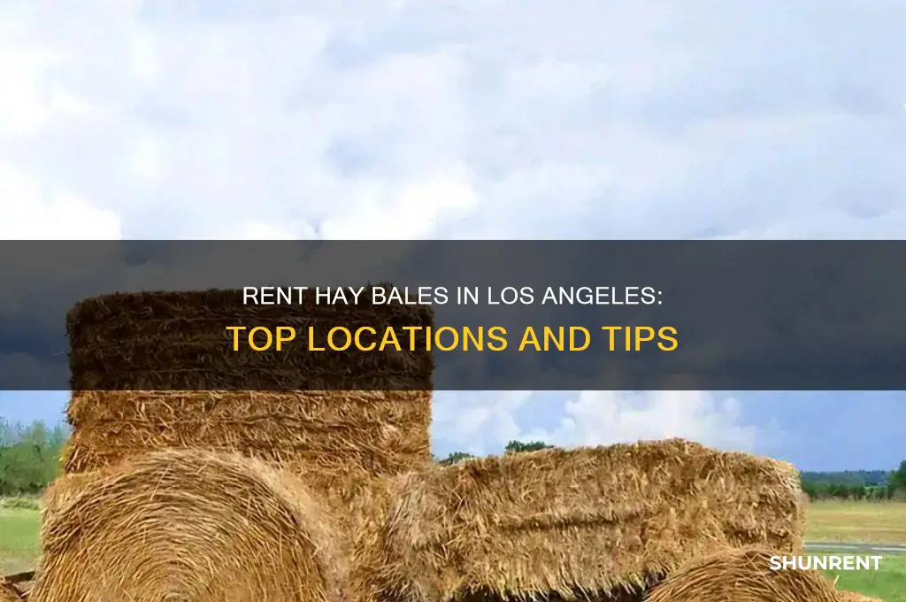 where to rent hay bales in los angeles