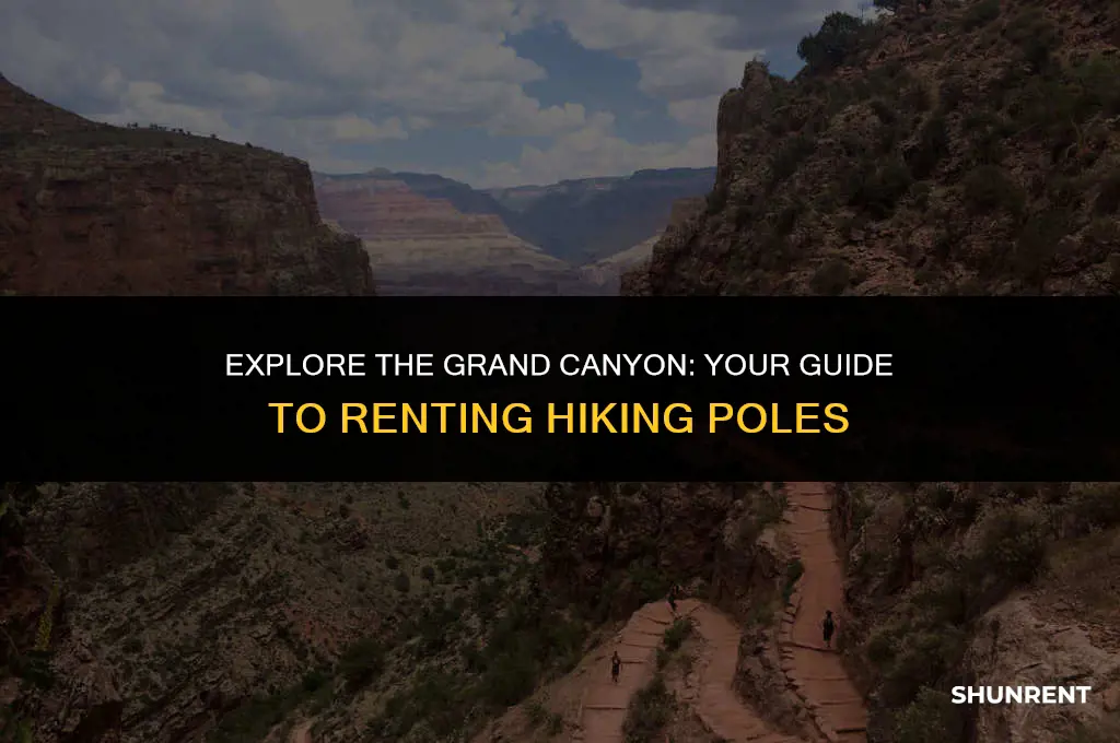 where to rent hiking poles grand canyon