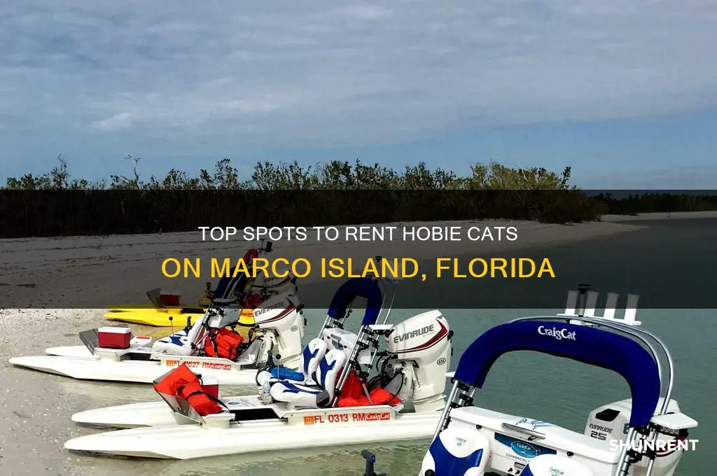 where to rent hobie cats in marco island