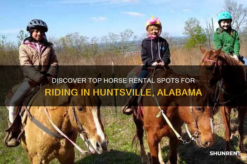 where to rent horse to ride huntsville alabama