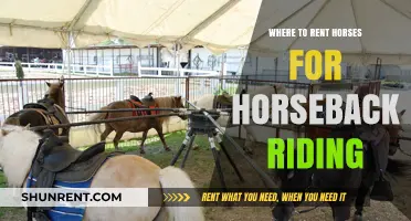 Discover the Best Spots for Horse Rentals and Riding Adventures