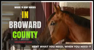 Discover Horseback Riding: Top Spots to Rent Horses in Broward County
