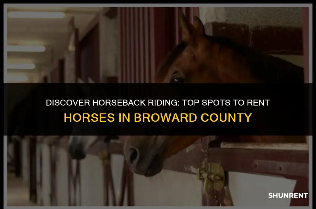 where to rent horses in broward county