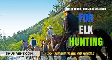 Top Colorado Horse Rentals for Elk Hunting Adventures