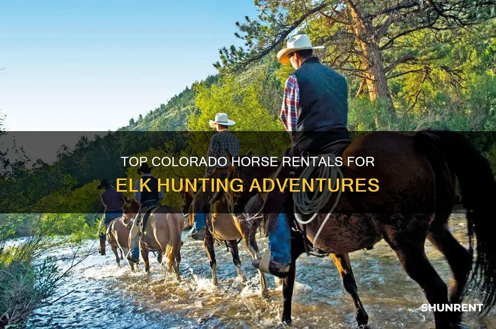 where to rent horses in colorado for elk hunting