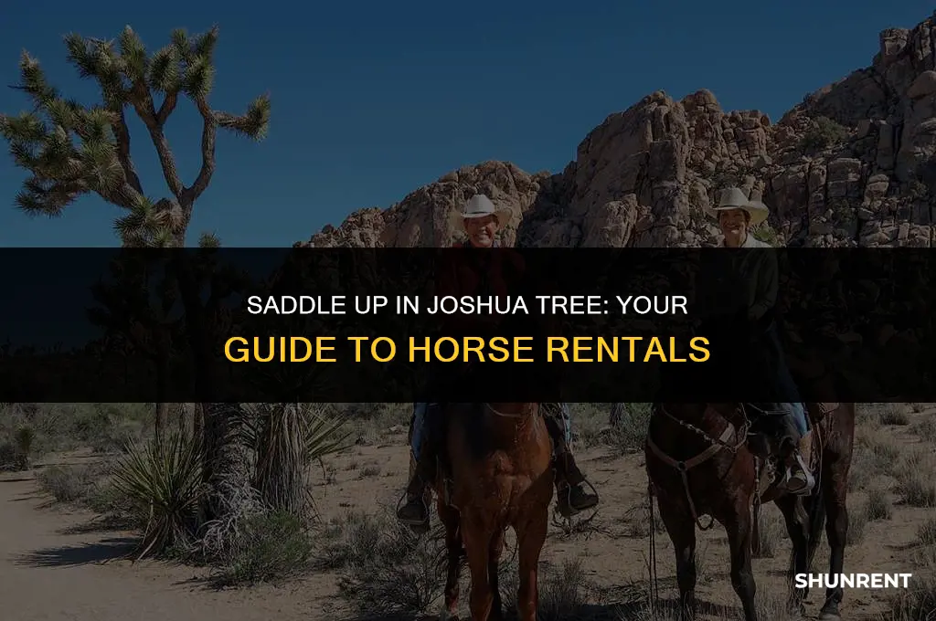 where to rent horses in joshua tree