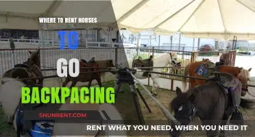 Exploring Nature's Trails: Horseback Riding Rentals for Backpacing Adventures